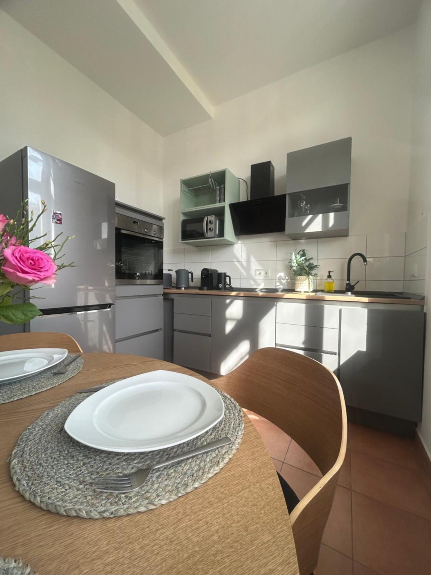 Mintara Komfort Apartment Mit Grill -Terrasse, Sky Und Parkplatz Magdeburg Kültér fotó