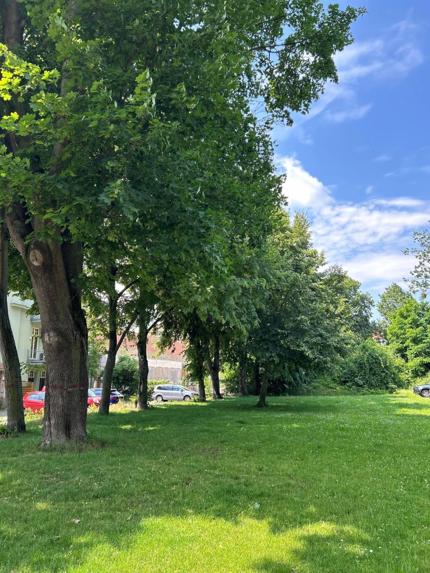 Mintara Komfort Apartment Mit Grill -Terrasse, Sky Und Parkplatz Magdeburg Kültér fotó