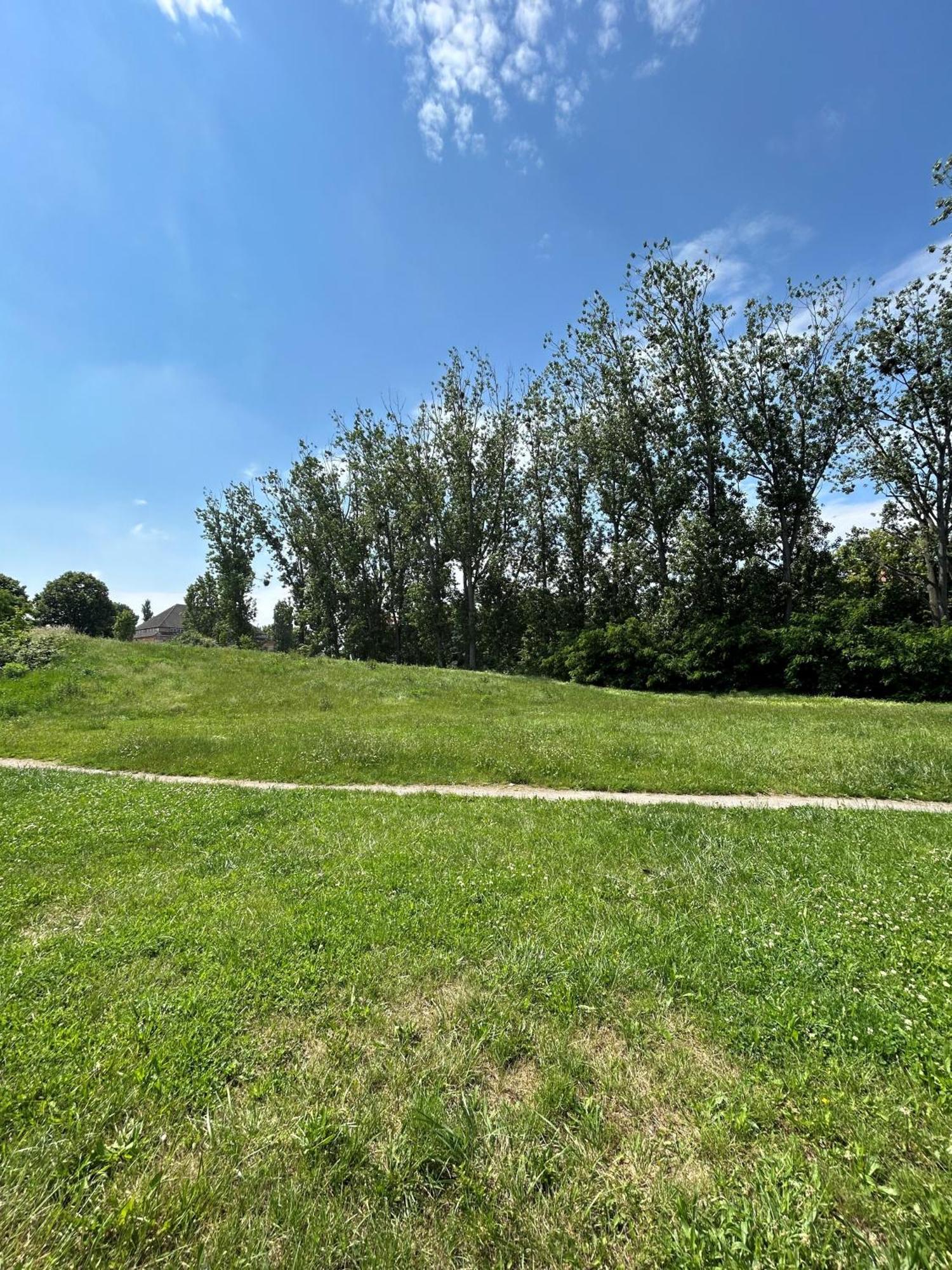 Mintara Komfort Apartment Mit Grill -Terrasse, Sky Und Parkplatz Magdeburg Kültér fotó